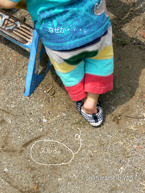 ちょりまめ日和
