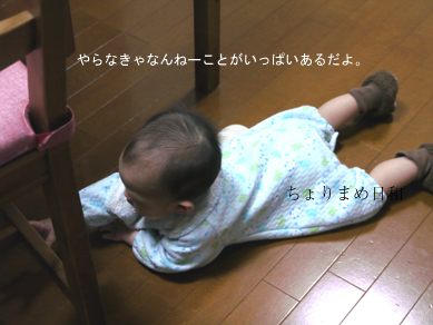 ちょりまめ日和