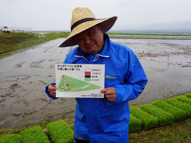佐渡2017_トキ米田植え0513-4