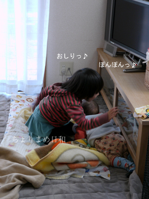 ちょりまめ日和