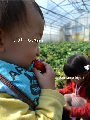 ちょりママオフィシャルブログ「ちょりまめ日和」Powered by Ameba