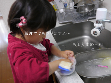 ちょりまめ日和
