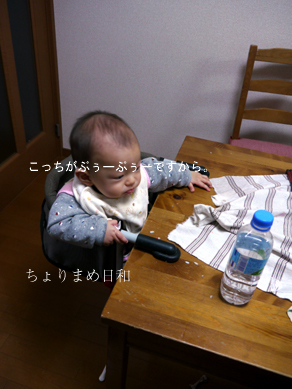 ちょりまめ日和