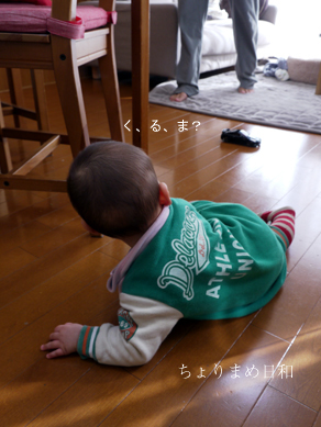 ちょりまめ日和