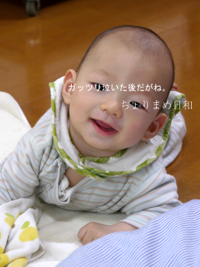 ちょりまめ日和