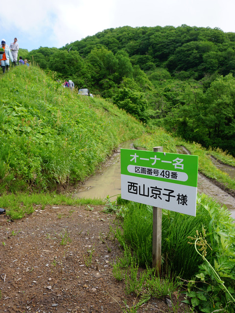 佐渡田植え20180519-2