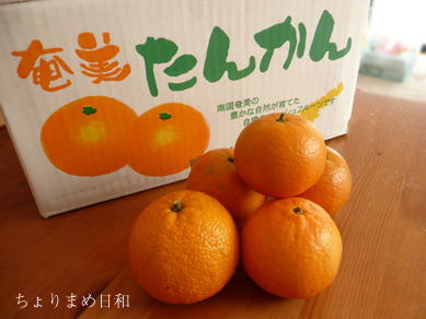 みのまま贈り物