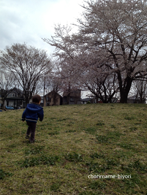 ちょりママオフィシャルブログ「ちょりまめ日和」Powered by Ameba