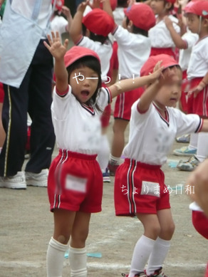 ちょりまめ日和