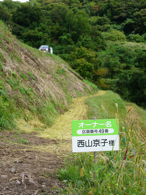 佐渡2017-1008_棚田稲刈り10