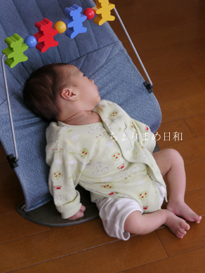 ちょりまめ日和