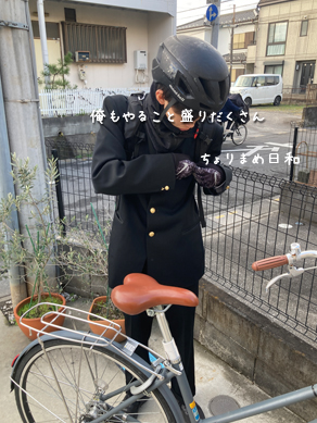 いくじ241219
