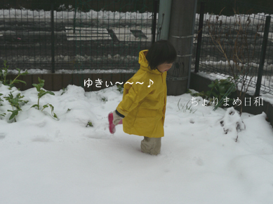 ちょりまめ日和