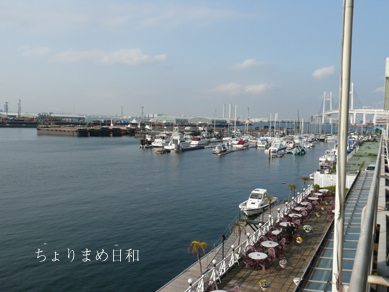 ちょりまめ日和