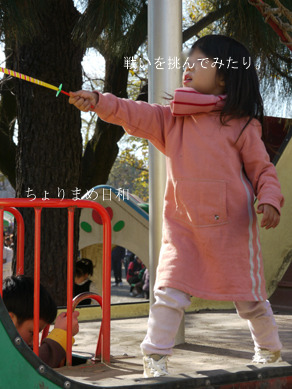 ちょりまめ日和