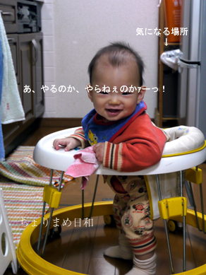ちょりまめ日和