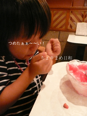 ちょりまめ日和
