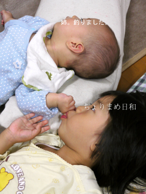 ちょりまめ日和