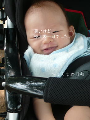 ちょりまめ日和