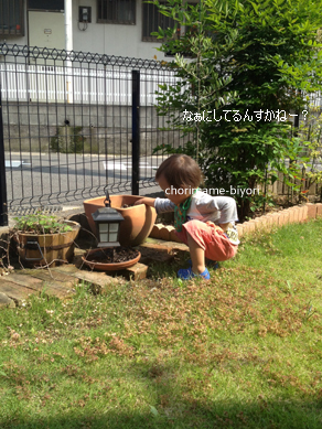 ちょりママオフィシャルブログ「ちょりまめ日和」Powered by Ameba