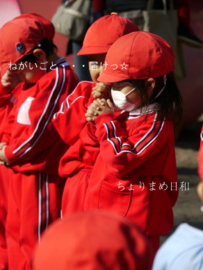 ちょりまめ日和