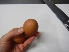 クリスマス20181224_エビドリアP1