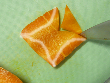 アゲハチョウにんじんP2