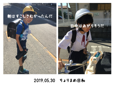 いくじ190530