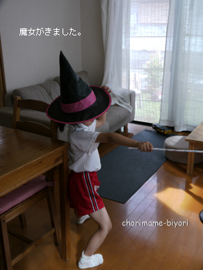 ちょりまめ日和