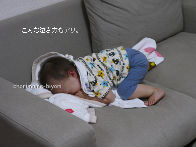 ちょりまめ日和