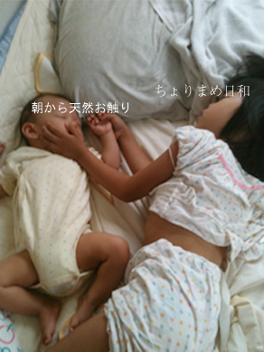 ちょりまめ日和