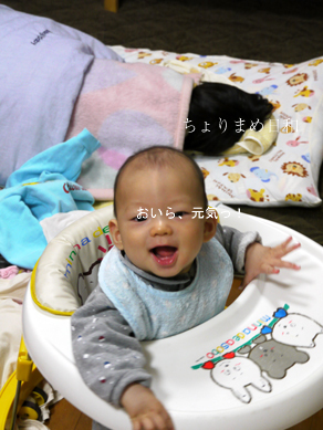 ちょりまめ日和