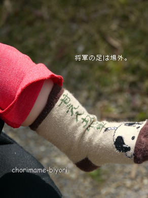 ちょりまめ日和