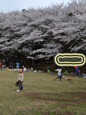 ちょりママオフィシャルブログ「ちょりまめ日和」Powered by Ameba