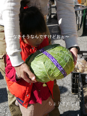 ちょりまめ日和