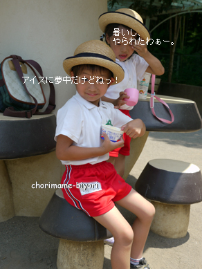 ちょりまめ日和