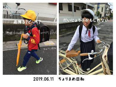 いくじ190611