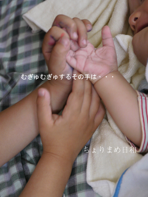 ちょりまめ日和