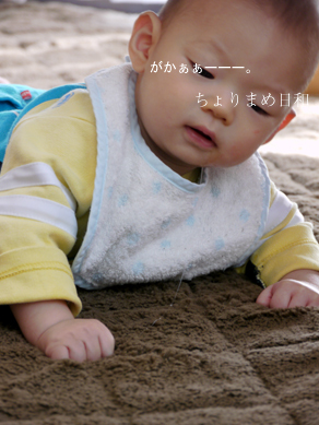 ちょりまめ日和