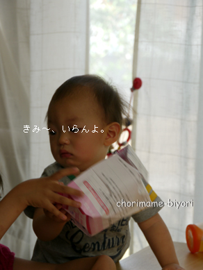 ちょりまめ日和