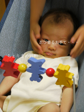 ちょりまめ日和