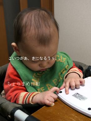 ちょりまめ日和