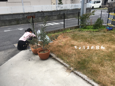 いくじ181222