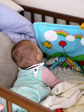 ちょりまめ日和