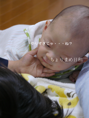 ちょりまめ日和