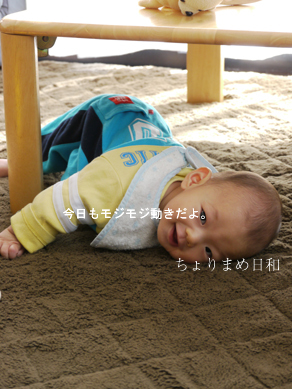 ちょりまめ日和