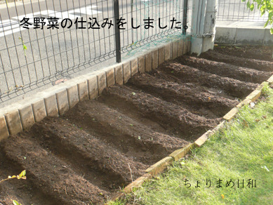 ちょりまめ日和