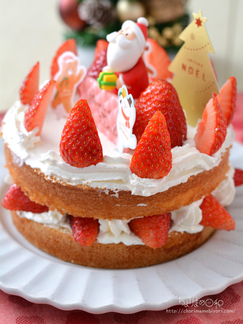 クリスマスケーキ201128_cotta-4