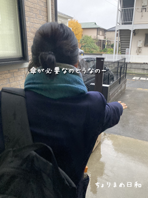 いくじ231212