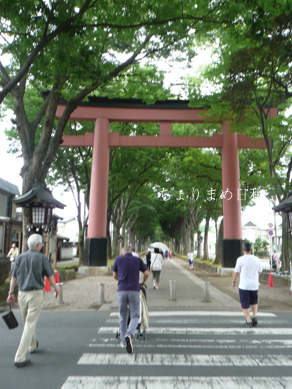 ちょりまめ日和